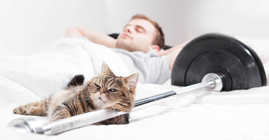 Organic Sleep: The fourth pillar of fitness